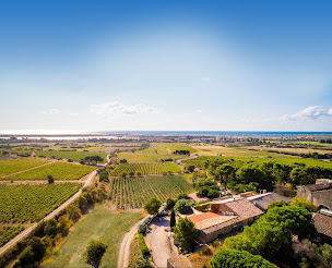 Photo n°21 de Restaurant Château Le Bouïs à Gruissan (Lieu de mariage)