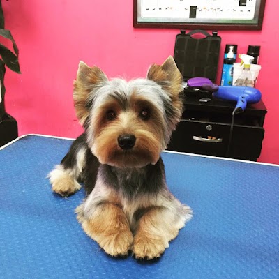 Photos of Animal Park Veterinary Center