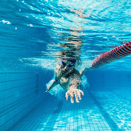 Photo n°1 de Club Nageurs Du Mans (Association) à Le Mans (Club de natation)