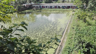 Photos of Hatem Ali College Hostel