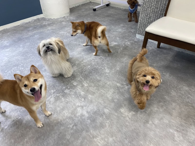 犬の会員制幼稚園 わんろまん しつけ・ドッグスクール 樟葉店