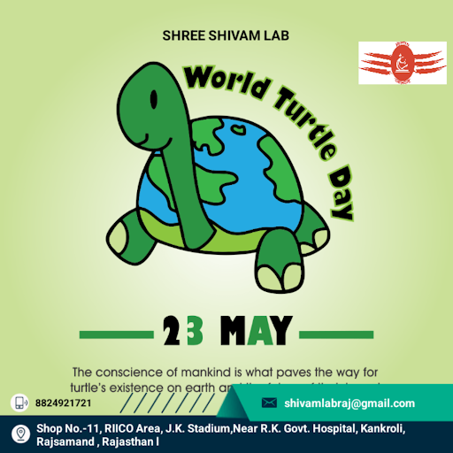 🐢 विश्व कछुआ दिवस – 23 मई 2026 🐢*   post image