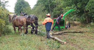 Photo n°7 de Seve &Source à Talmont-Saint-Hilaire (Entreprise de terrassement)