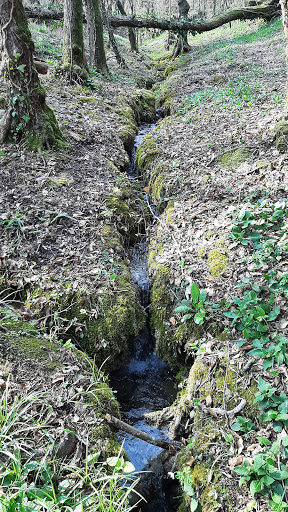 Lavatoio del Spissulot - Thumbnail