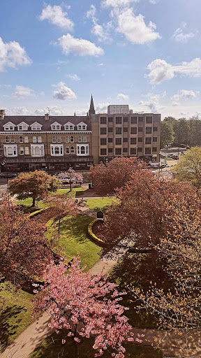 Harrogate Library - Visual