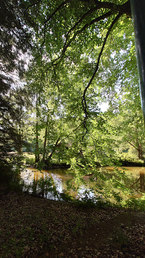 Etang de la fabrique - Thumbnail