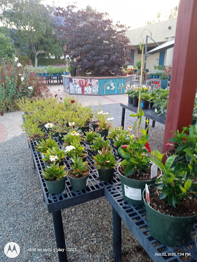 Cuyamaca College Nursery - Thumbnail
