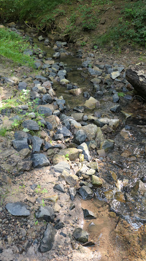 Forstbrunnen - Visual