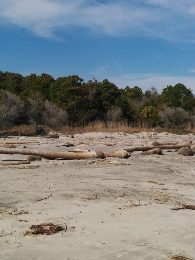 Capers Island Heritage Preserve - Thumbnail