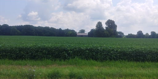 Zeller Soccer Park - Thumbnail