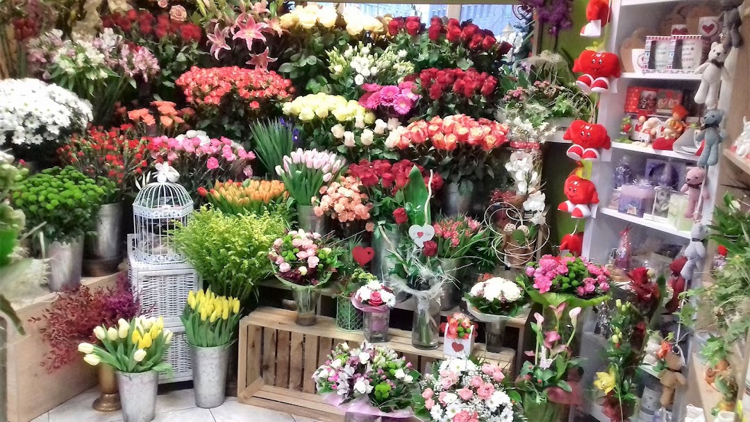 Kwiaciarnia Kwiaty U Beaty - Kwiaciarnia w: Warszawa