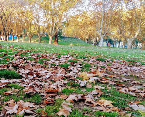 Parque El Batallon, Author: Serena Mars