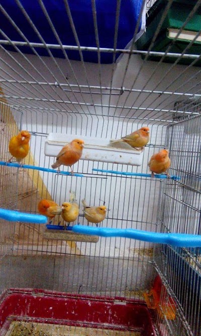 Photos of الحارة ماركت