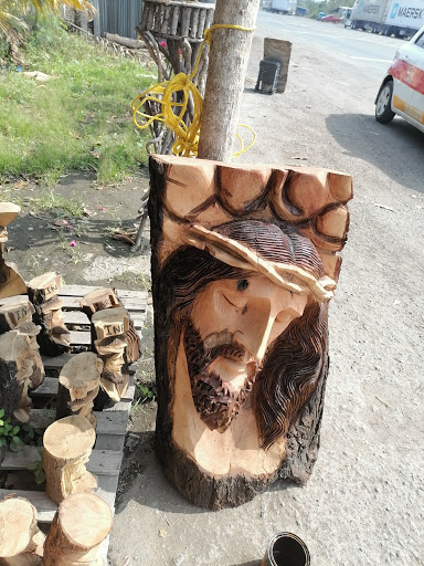 Artesanias Y Vivero Paso Del Toro - Thumbnail