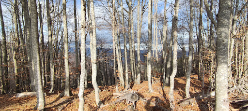 Monte Ardicello - Visual