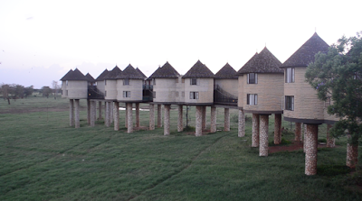 Photos of Sarova Salt Lick Game Lodge - Taita Hills Tsavo