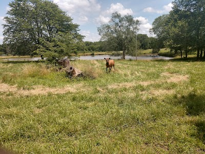 Native Hoofed Animal Enclosure