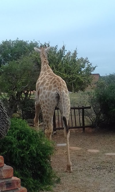 Photos of Charihandra Private Game Lodge
