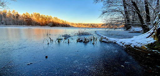 Neuteich - Visual