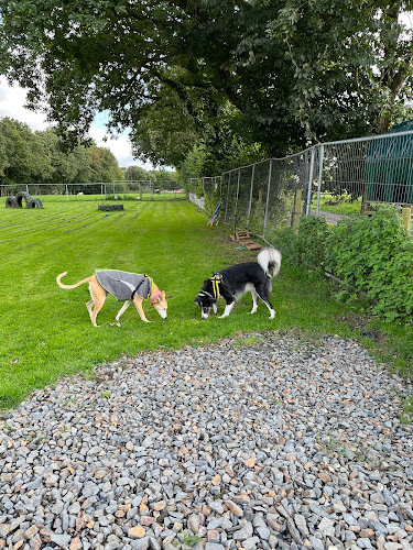 Tresmeer Dog Boarding and Day Care