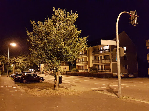 Mühlenfeld - Thumbnail