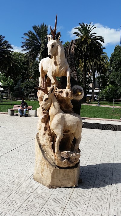 Photos of Municipality of Temuco