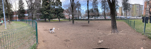 Aree Cani - Visual