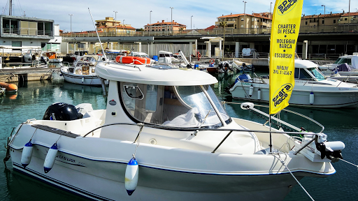 SparaPesca - Visual
