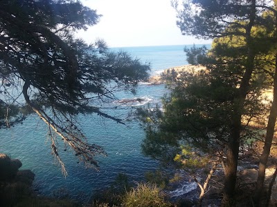 Photos of Hotel Albatros