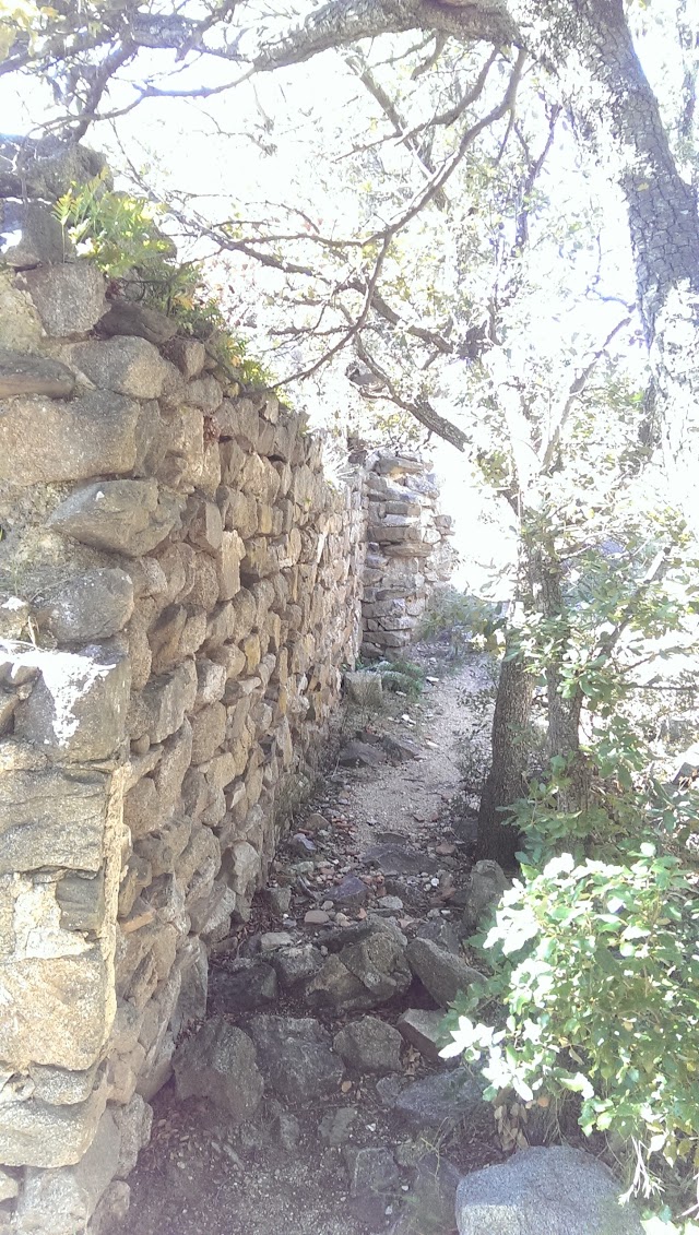 Ruines du château de Paracolls