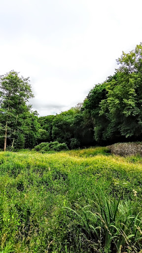 Vallon de la Dollée - Thumbnail