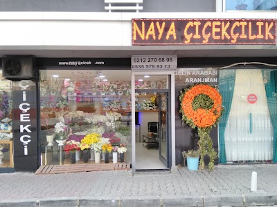 Naya çiçekçilik