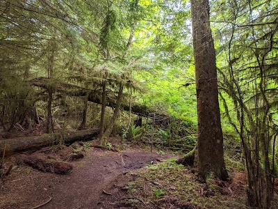 Gnat Creek Campground