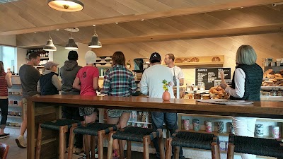 Photos of Picnic