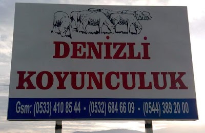 Denizli Koyunculuk