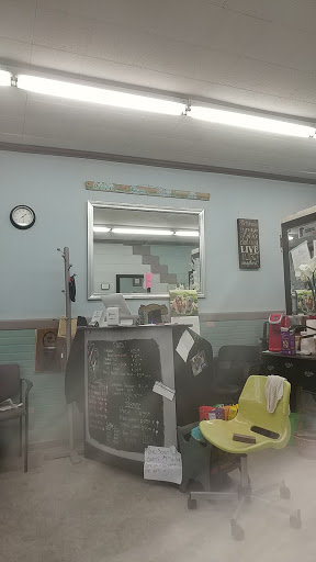 Shear Chaos Salon Gallery - United States