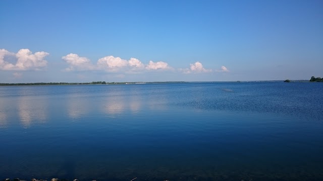 Lac du Der-Chantecoq