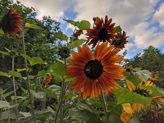 The Physic Garden Café - Coffee shop