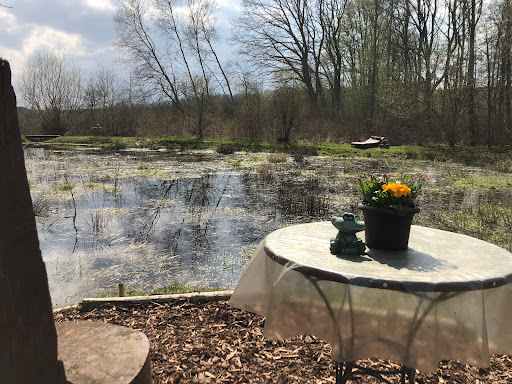 Fröscheteich - Visual