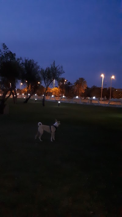Photos of Public Park