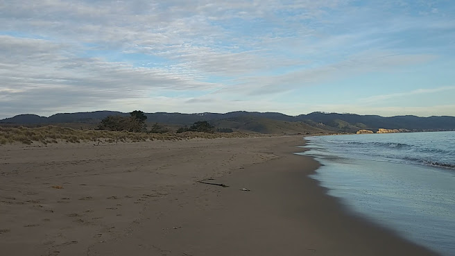 Limantour Beach by null
