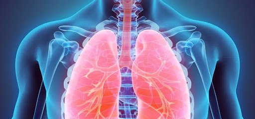 Best Clinic for Chest Diseases in Jaipur – 𝗝𝗮𝗶𝗽𝘂𝗿…