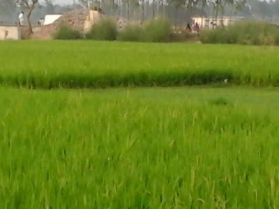 Photos of Akkelpur Filling Station
