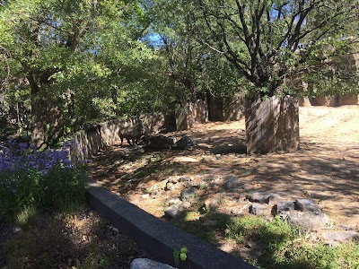 Zebra And Rhino Habitat