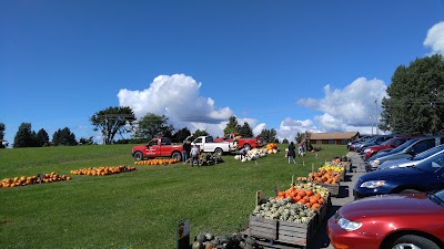 Photos of Bill's Farm Market