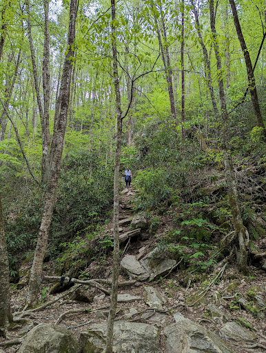 Crab Orchard Falls - Thumbnail