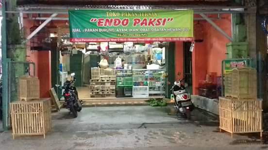 Endo Paksi, Author: Luluk Endo