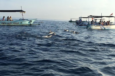 Photos of Bali Tours Club Online