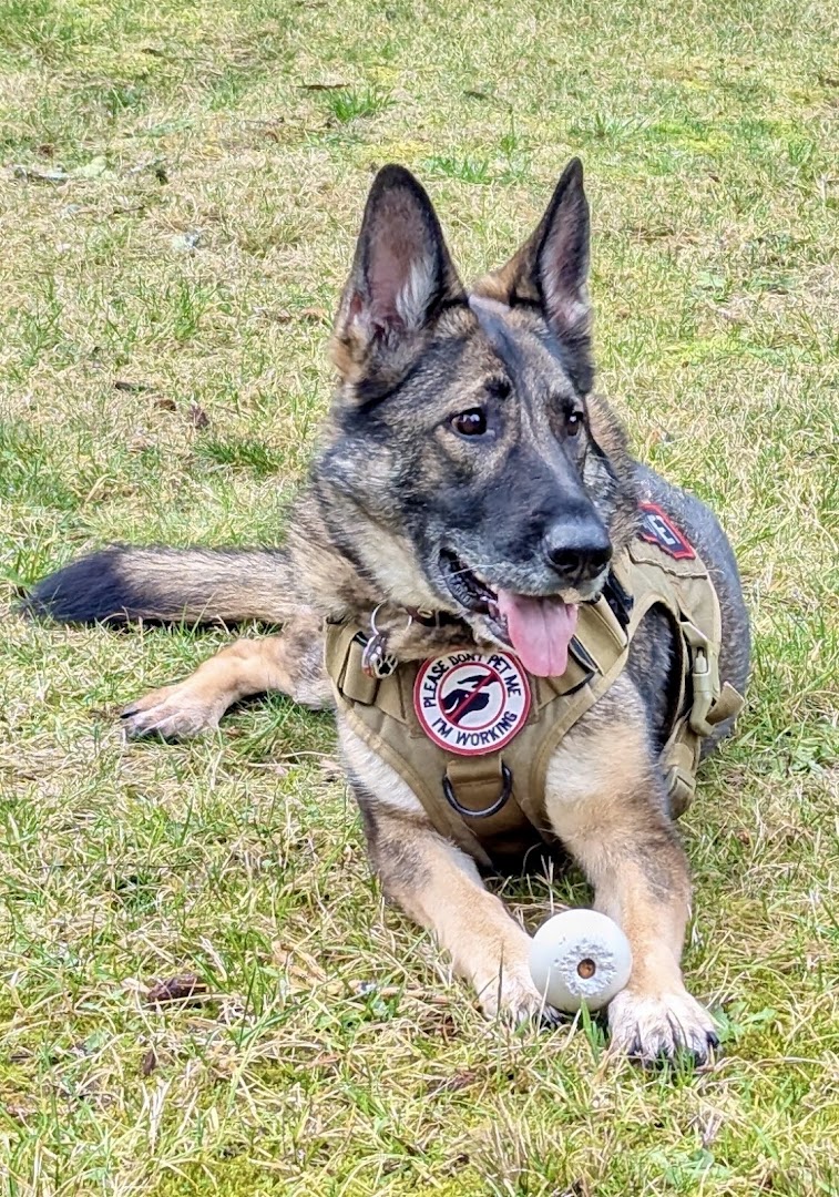 Granville Island Veterinary Hospital
