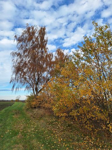 Rundweg der Klänge - Nummer 1 - Stadtmusikant - Thumbnail